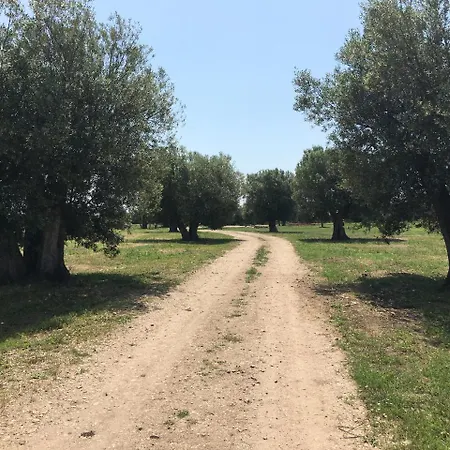Fonte Vulci Gospodarstwo agroturystyczne *