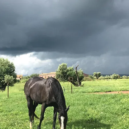 Fonte Vulci Gospodarstwo agroturystyczne Canino